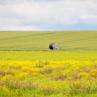 Campo de cultivo en la provincia