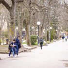 Flores por el estallido de la primavera en pleno marzo