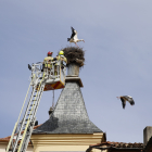 Los bomberos de Soria trabajan en el nido de las cigüeñas del Palacio de Alcántara.