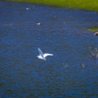 Un pantano pletórico asegura las reservas hídricas