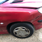Cada día se registran cuatro accidentes por irrupción de animales salvajes en las carreteras, denuncia Asaja Soria.