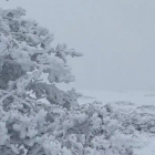 Mayo ha comenzado con frío en Soria, pero lo que se ha podido vivir en los pueblos o la capital poco tiene que ver con la heladora estampa en las partes más altas de Duruelo de la Sierra. Agustín Sandoval trae desde los más de 2.000 metros de altitud imágenes de nieve y hielo más propias de un invierno nórdico que de una primavera ya mediada.  <br />Según explica en su perfil de Twitter, @meteoduruelo, el responsable de la estación Meteoclimatic se ha encontrado "condiciones cuasiárticas en las cotas más altas de Duruelo de la Sierra,  Soria. Unos 15 bajo cero de ST (sensación térmica) por viento,  windchill, niebla y espectacular cencellada. Cotas 2.050 a 2.100, esta mañana" de jueves.