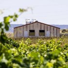 Una granja entre viñedos.