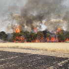 Incendio en Los Rábanos este viernes 19 de julio.