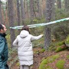 Lugar donde se ha encontrado en un bosque de Soria la granada.