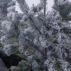 El otoño trae temperaturas suaves para buena parte de Soria en estos días, pero conforme se va ganando altitud la cosa cambia y muta en paisajes invernales. Es el caso de los que ofrece Urbión, acercados gracias a la cámara del responsable de la estación Meteoclimatic de Duruelo de la Sierra, Agustín Sandoval.<br /><br />"Paisajes de pleno invierno, esta mañana a primera hora, en las cumbres de Urbión. Cencellada, hielo y sensación térmica en torno a 10 bajo cero a 2.100 metros", relata en su cuenta de X (Twitter).