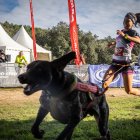 La carrera ha tenido un gran nivel de los mushers sorianos.