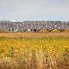 Parque fotovoltaico en la provincia de Soria.