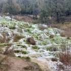 Cabrejas del Pinar