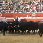 Desencajonamiento en plaza de toros.