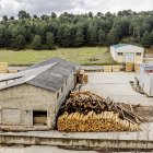 Los aprovechamientos maderables totales en montes de utilidad pública supusieron un total de 274.261 metros cúbicos.