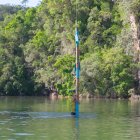 Imagen de la prueba de los 'palos borrachos'.