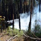 Extinción de un incendio forestal en la provincia.