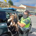 El agente con el buitre.