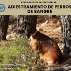 El seminario tendrá lugar a finales de este mes.