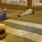 Los dos heridos por la paliza en el suelo.