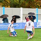 Los adnamantinos celebran el gol que les daba la victoria ante el Guijuelo.