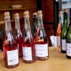 Destina la recaudación obtenida a la protectora de animales Redención Soria.