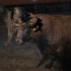 El Toro Jubilo con las bolas ya apagadas.