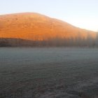 Escarcha sobre la vegetación en la gélida mañana de Espejo de Tera.