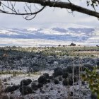 La primera nevada de la campaña llega a Soria capital con precipitaciones escasas pero más intensas en la zona norte.