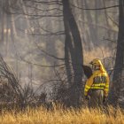 Un bombero forestal con su batefuegos vigila el escenario de un incendio.