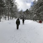 Archivo - Los accesos por pista forestal a la Laguna Negra de Urbión, uno de los lugares más turísticos de la provincia de Soria.