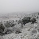 Nieve en las inmediaciones de Soria capital.