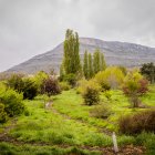 El Monte Valonsadero será un punto privilegiado para observar el eclipse.