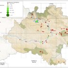 Distribucuión de las aves hibernantes en Soria en enero de 2025, con los puntos verdes con muestreos positivos y los rojos sin encontrar ejemplares.