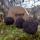 Además de Tokio Trufforum mantiene Nueva York y Vic, consolidando una red.