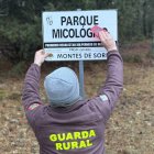 Colocación de un cartel del Parque Micológico Montes de Soria, el mayor de España, que ya pone a la venta sus permisos para 2026.