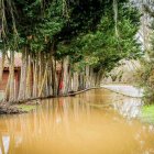 Inundación en las calles de San Esteban de Gormaz hace una semana.