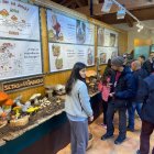 Las III Jornadas del marzuelo de Navaleno estrenan la Primavera micológica en Montes de Soria.