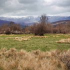 Panorámica del paisaje cercano a Villar del Ala, en el Valle de la Mantequilla de Soria, con praderas y al fondo las cumbres nevadas de la Sierra de Urbión a comienzos de primavera