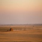 Tierra de cereal en Castilla y Léon.