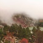 La Laguna Negra, envuelta en niebla y rodeada de pinares, ofrece una imagen que recuerda a los paisajes salvajes de Noruega