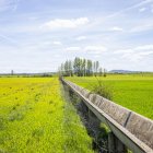Campo de regadío en la provincia de Soria.
