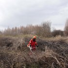 Un efectivo del Servicio de Prevención y Extinción de Incendios realiza tareas de desbroce durante el invierno en la Sierra de la Culebra (Zamora).