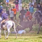 Los novillos rezagados han provocado más de un susto entre los sanjuaneros durante el encierro.