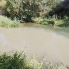 Estado en el que se encuentra el río Ucero en El Burgo.