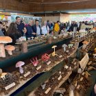 Montes de Soria realiza un amplio programa de exposiciones y actividades durante todo el año.