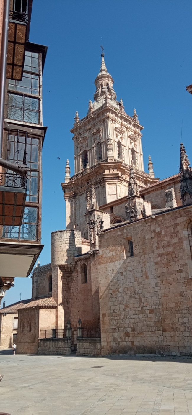 Catedral de El Burgo de Osma. Amaya Alonso
