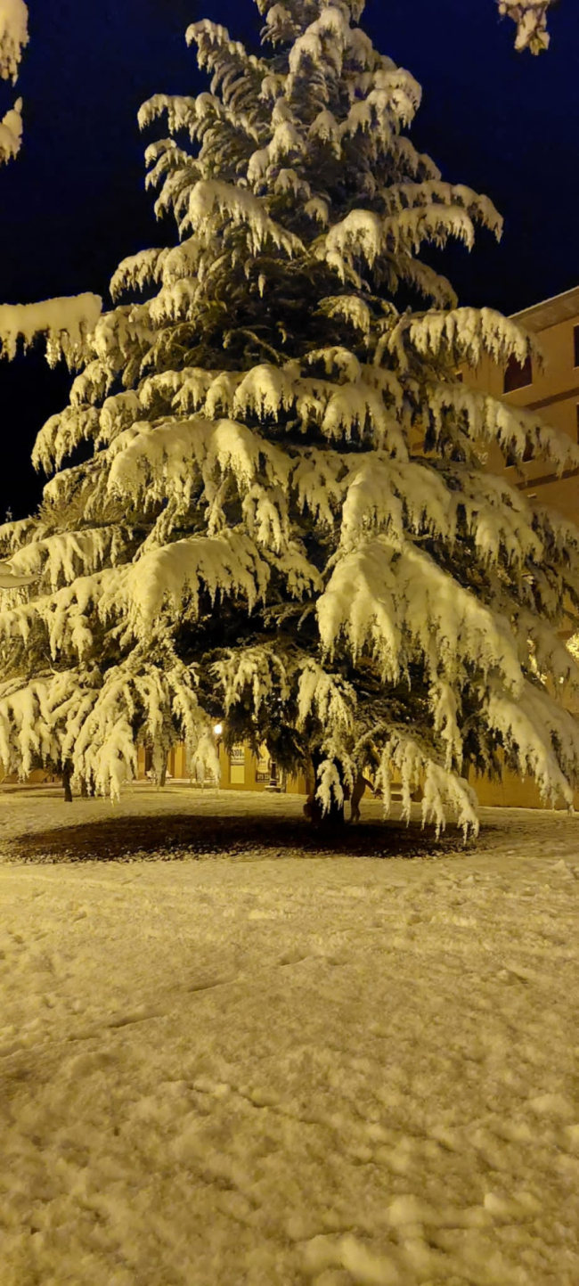 Las fotos de la Nieve en Soria. HDS