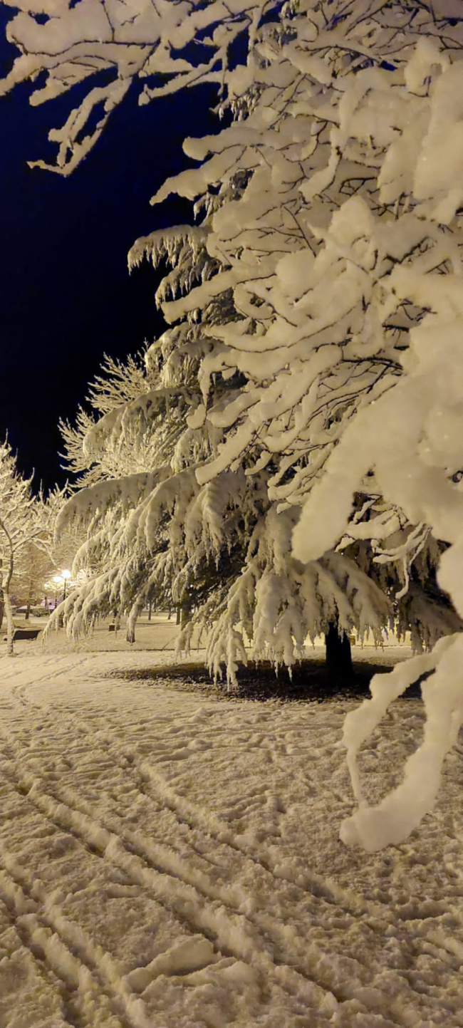 Las fotos de la Nieve en Soria. HDS