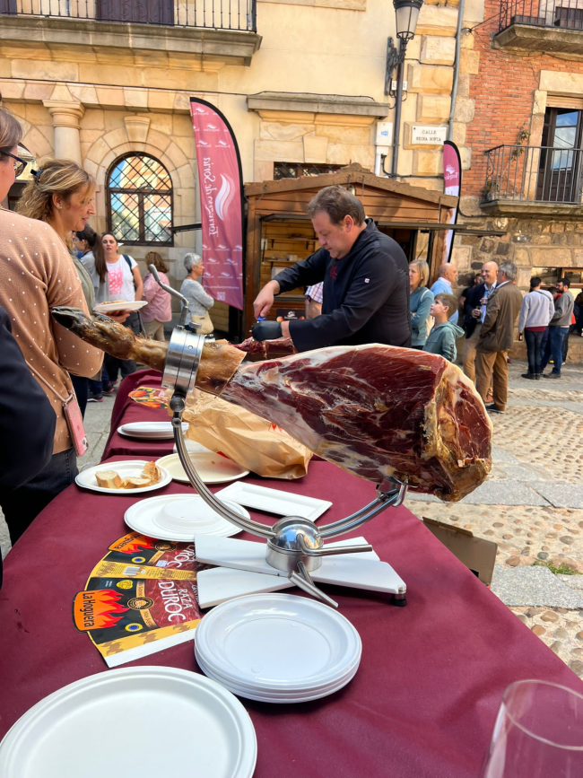 Día de la provincia de Soria, en este 2023 celebrado en Vinuesa.