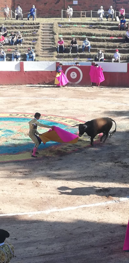 Plaza de toros de Quintana Redonda el jueves.-HDS