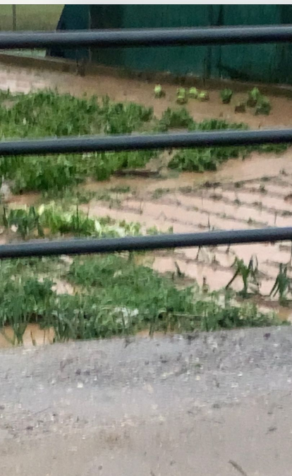 Otra imagen de un campo con agua en Bayubas.