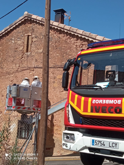 Los bomberos retiran el enjambre de abejas en Osma