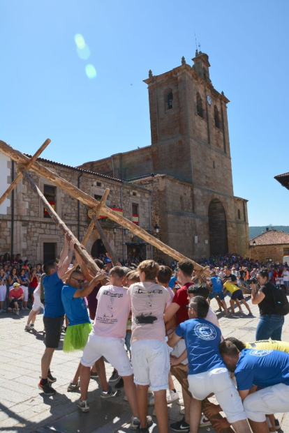 Pingada del Mayo en Vinuesa para iniciar las fiestas de 2023.